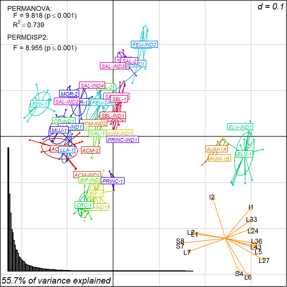 Amph-p2