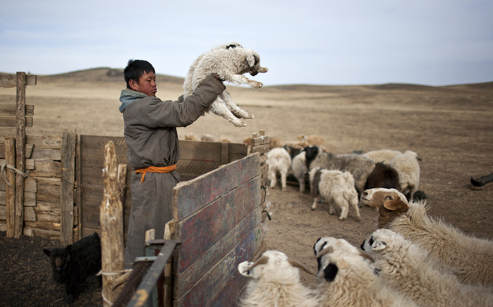 Mongolia life